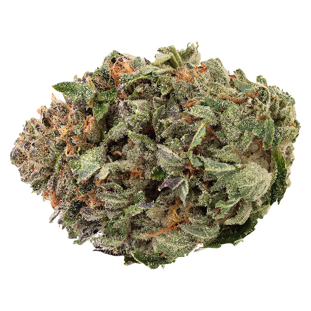 1964 DEATH BUBBA (IND) DRIED - 3.5G