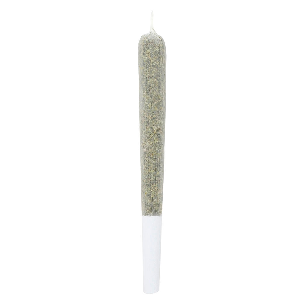 CROOKED DORY KUSH CAKE SHATTER (IND) INF PRE-ROLL 0.5G X 4