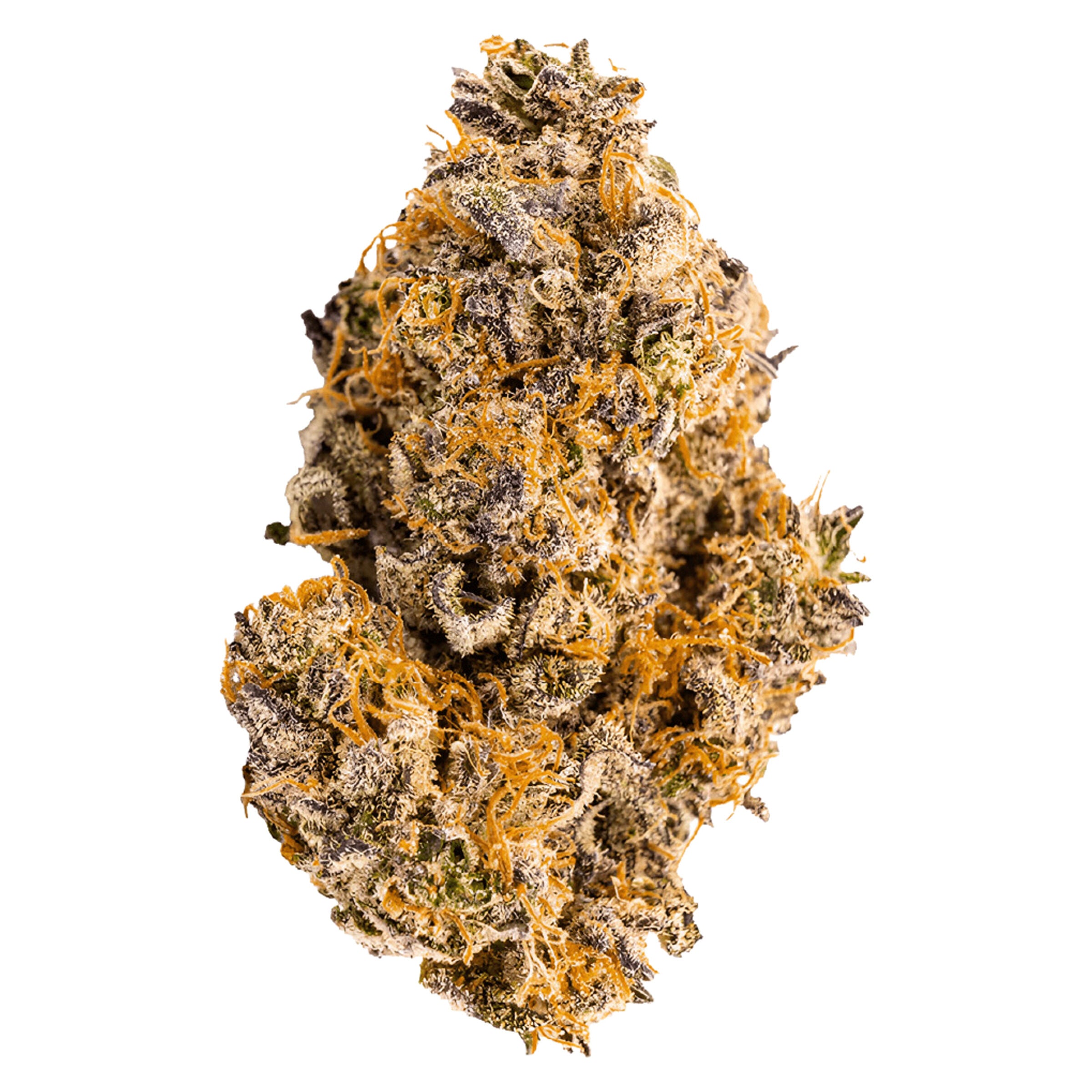VACAY TROPICALI (H) DRIED - 3.5G