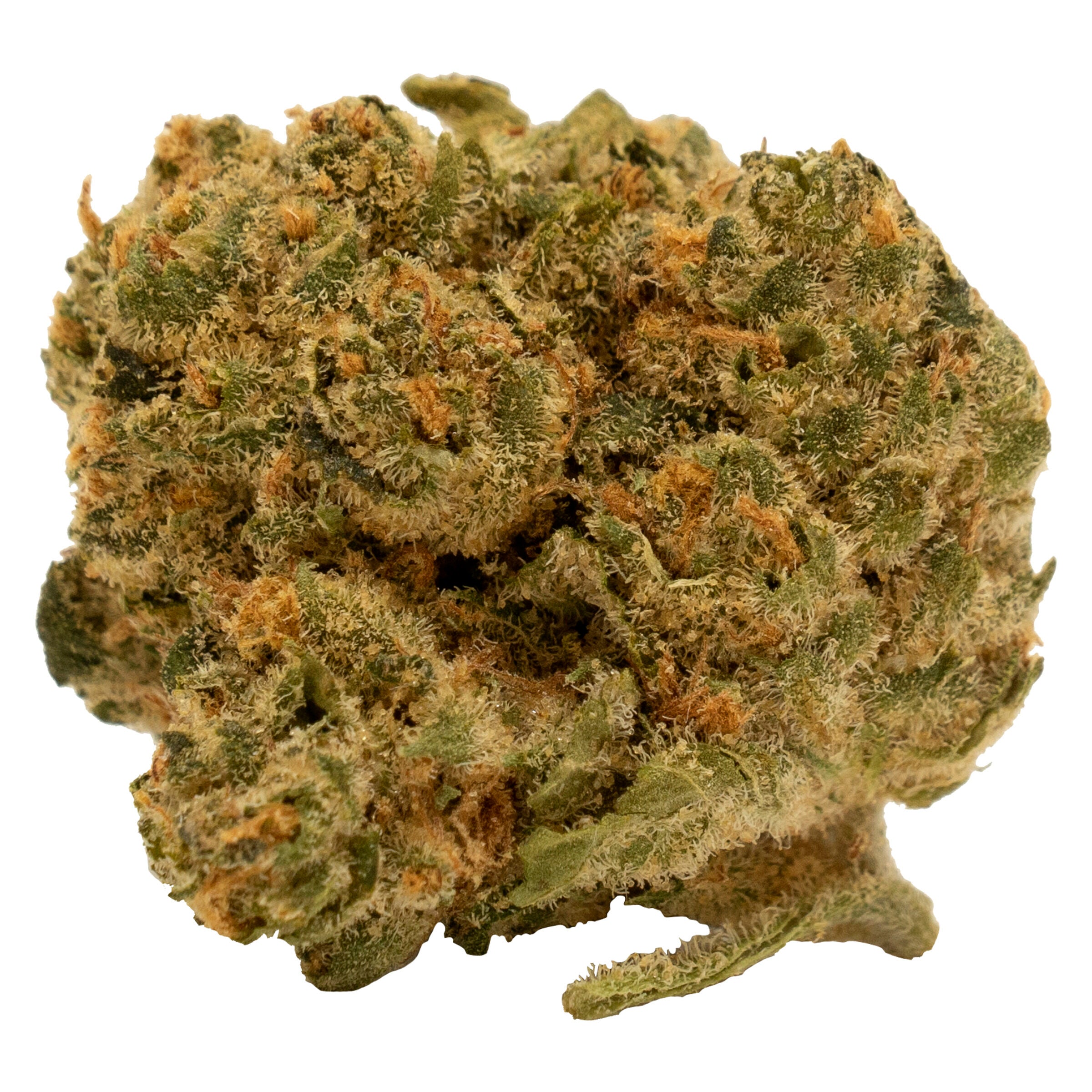 TWEED CHEMSICLE (S) DRIED - 14G