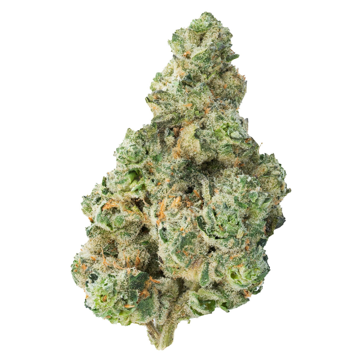 THE LOUD PLUG CHERRY DIESEL (H) DRIED - 14G