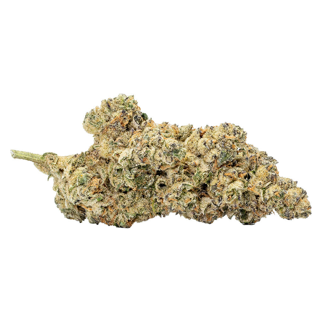 CANADIAN LOUD THE TOWN TUNAAAAROOM CUT (H) DRIED - 3.5G