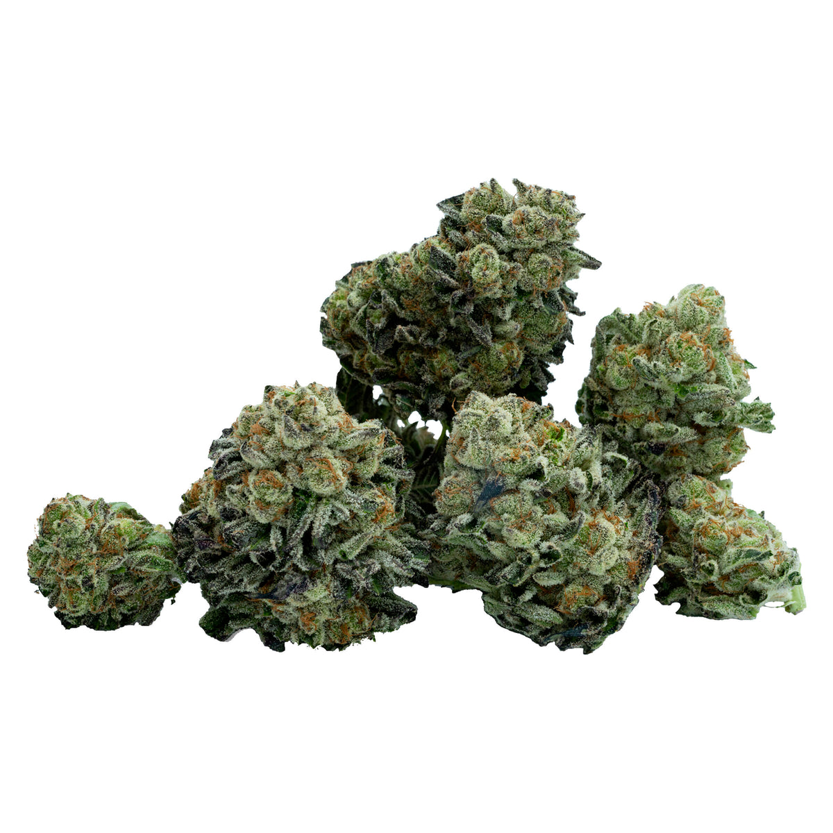 REDECAN VIOLET FOG (IND) DRIED - 14G