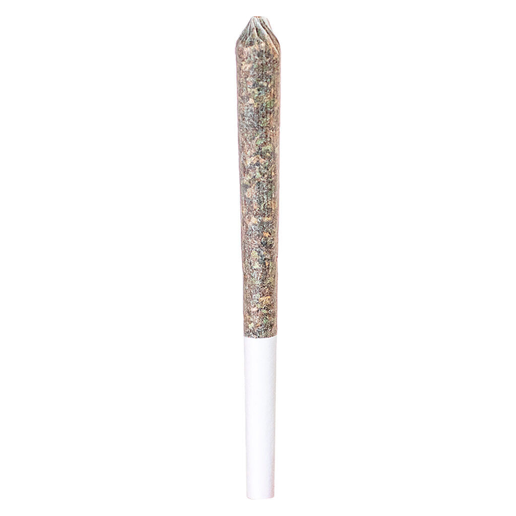 STATION HOUSE NORTHERN LIGHTS (IND) PRE-ROLL - 0.5G X 1