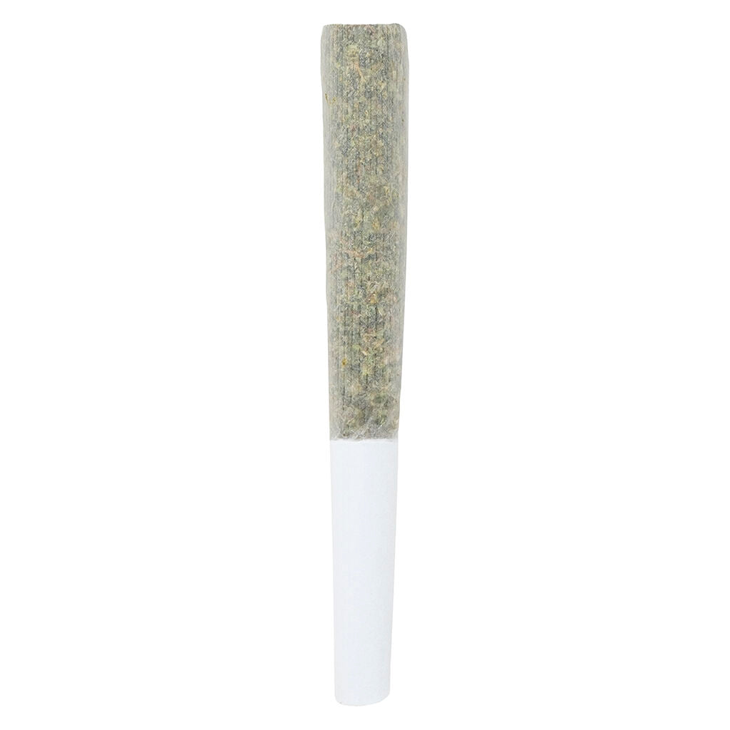 ENCORE PEANUT BUTTER CAKE (IND) PRE-ROLL - 0.5G X 3