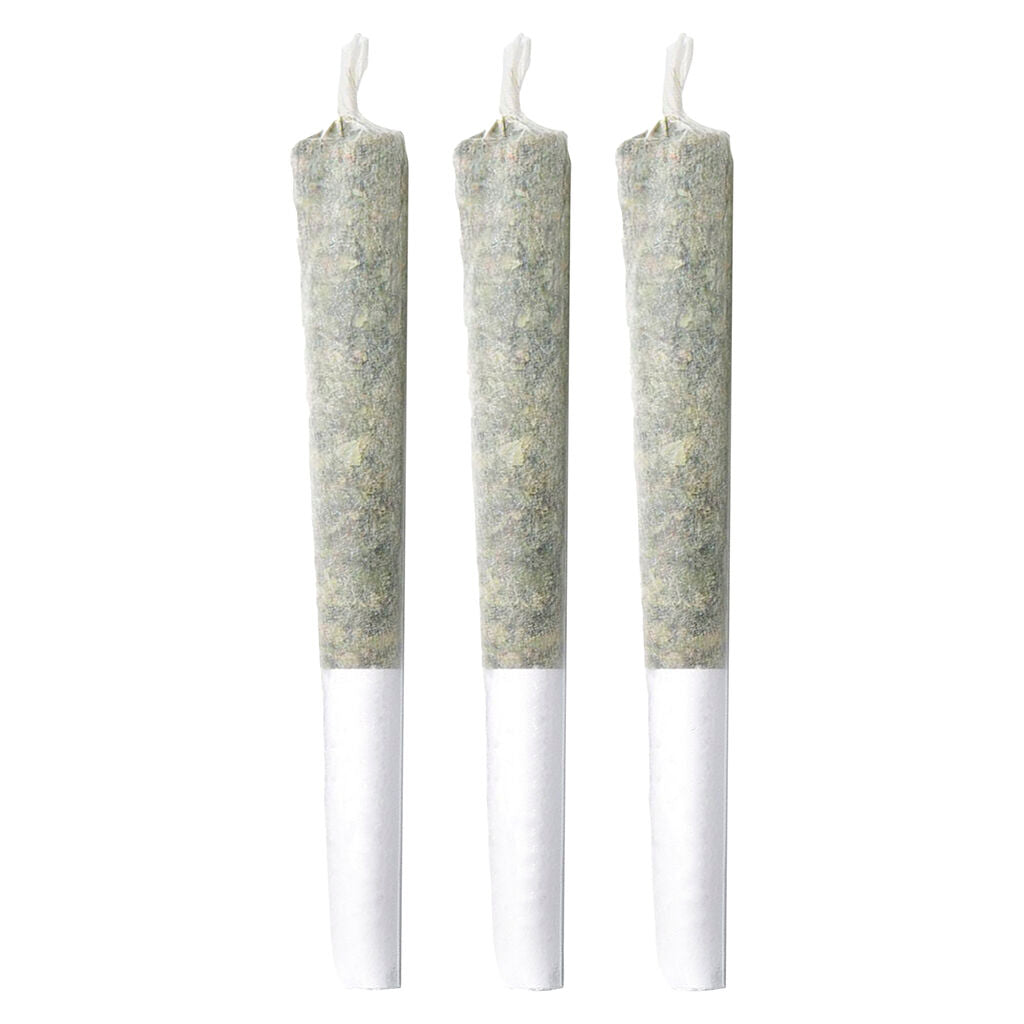 PINEAPPLE BUDS PINEAPPLE HAZE (H) PRE-ROLL - 0.5G X 10