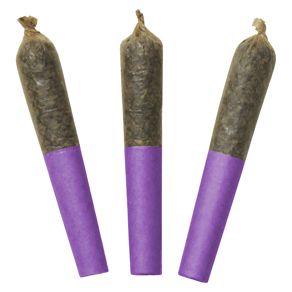 DAB BODS MOTOR BREATH 60 (H) DOUBLE INF PRE-ROLLS - 0.5GX3