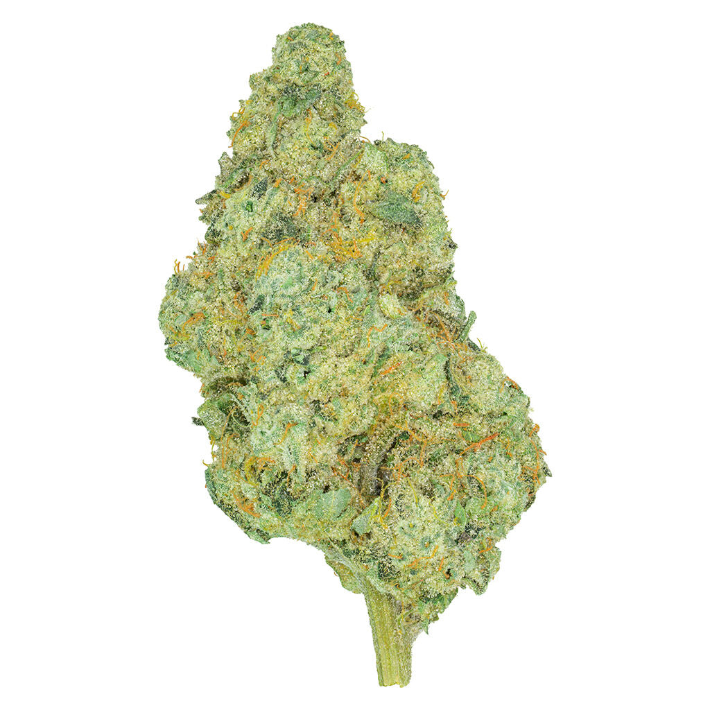 SAN RAFAEL 71 ROTATIONAL (H) DRIED - 3.5G