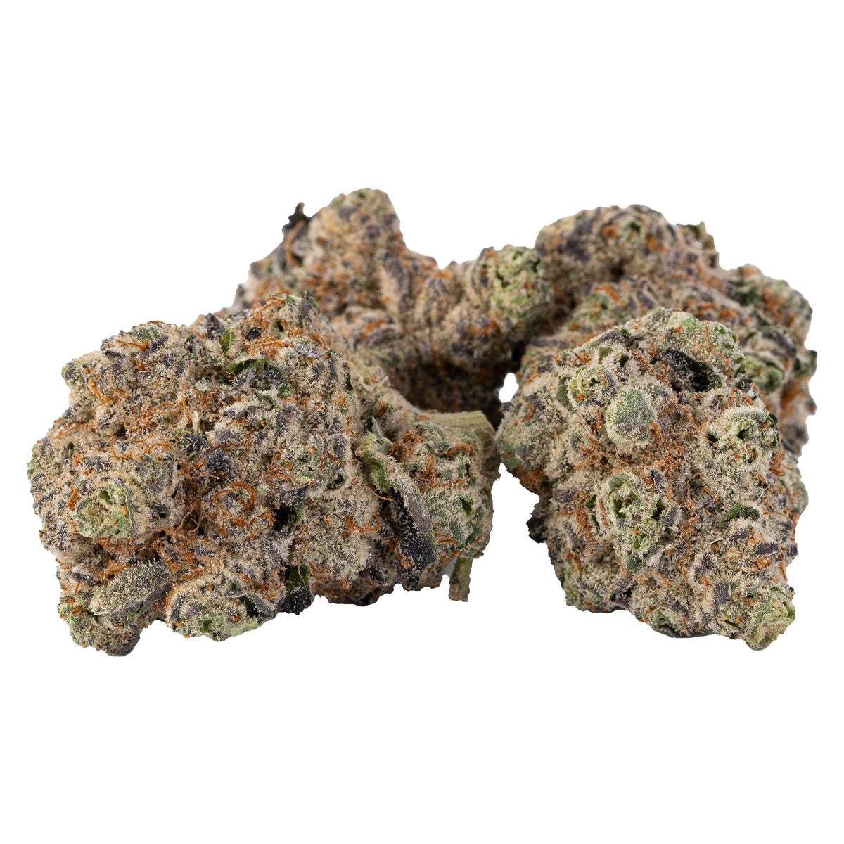 SILKY CONTINENTAL SUPREME GAZ (IND) DRIED - 7G