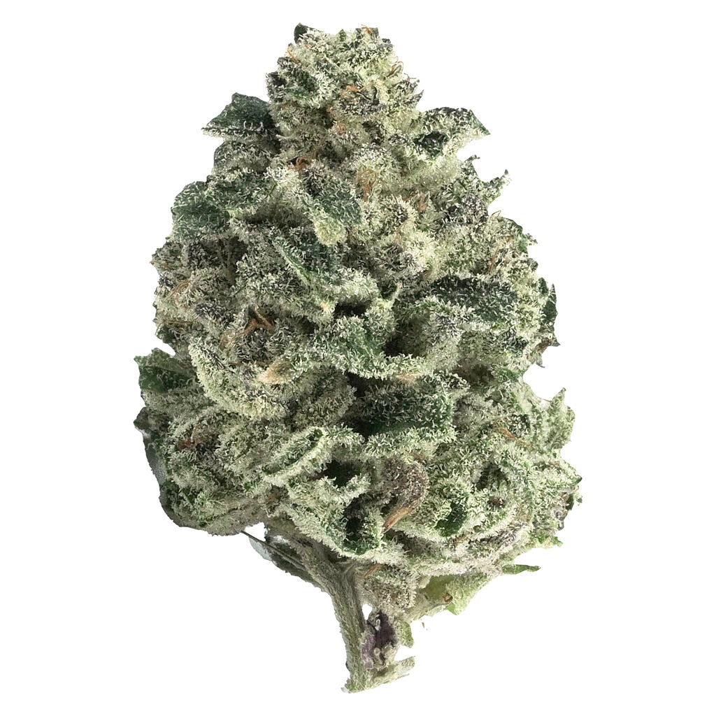 TANTALUS LABS MAI TAI X ZERO GRAVITY (S) DRIED - 7G