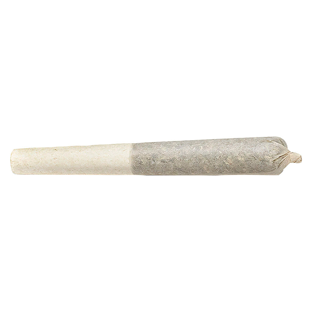 HIGHLY DUTCH ROTTERDAMN N BLACK (IND) INF PRE-ROLL 0.5G X 3
