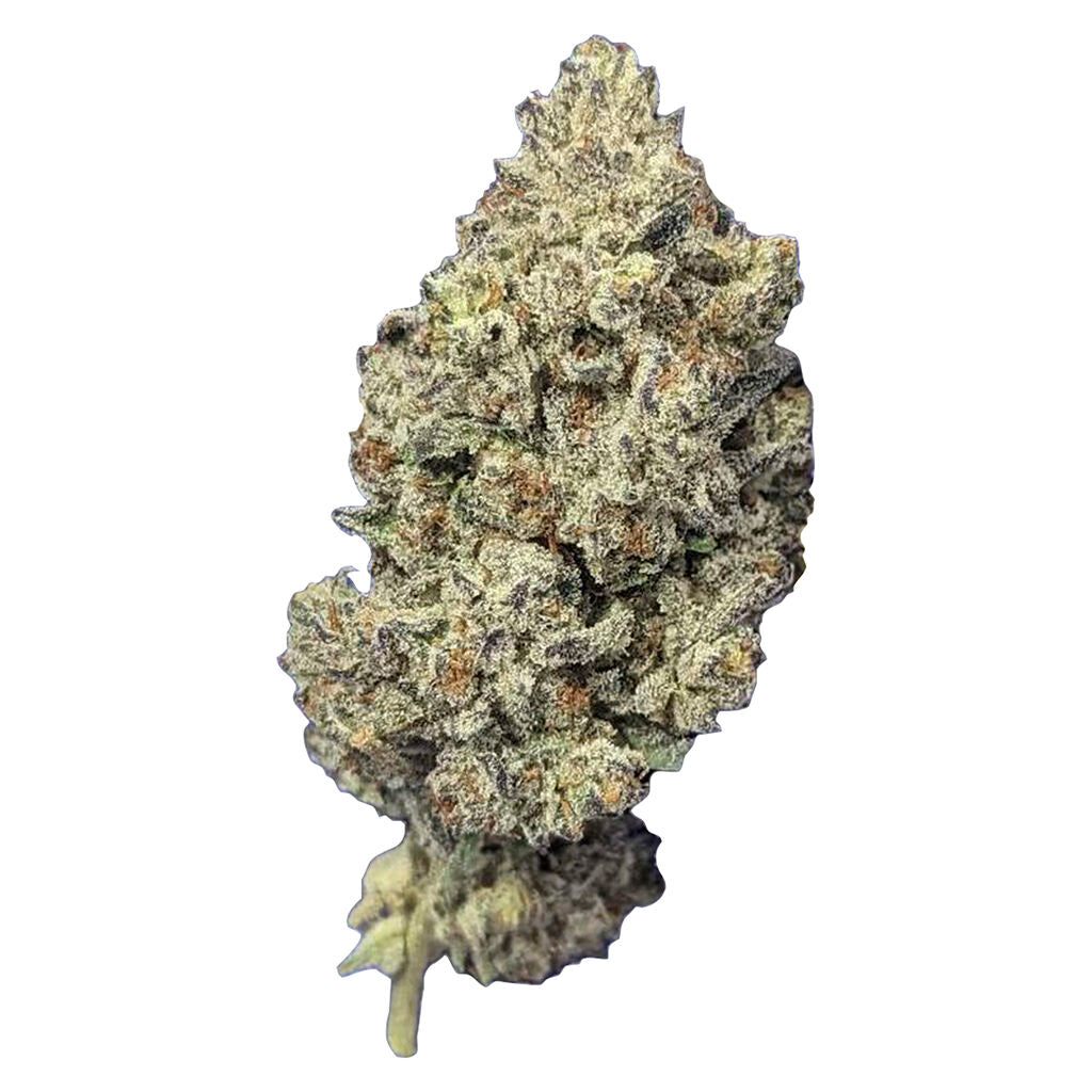 PAPAS HERB JEALOUSY (H) DRIED - 14G