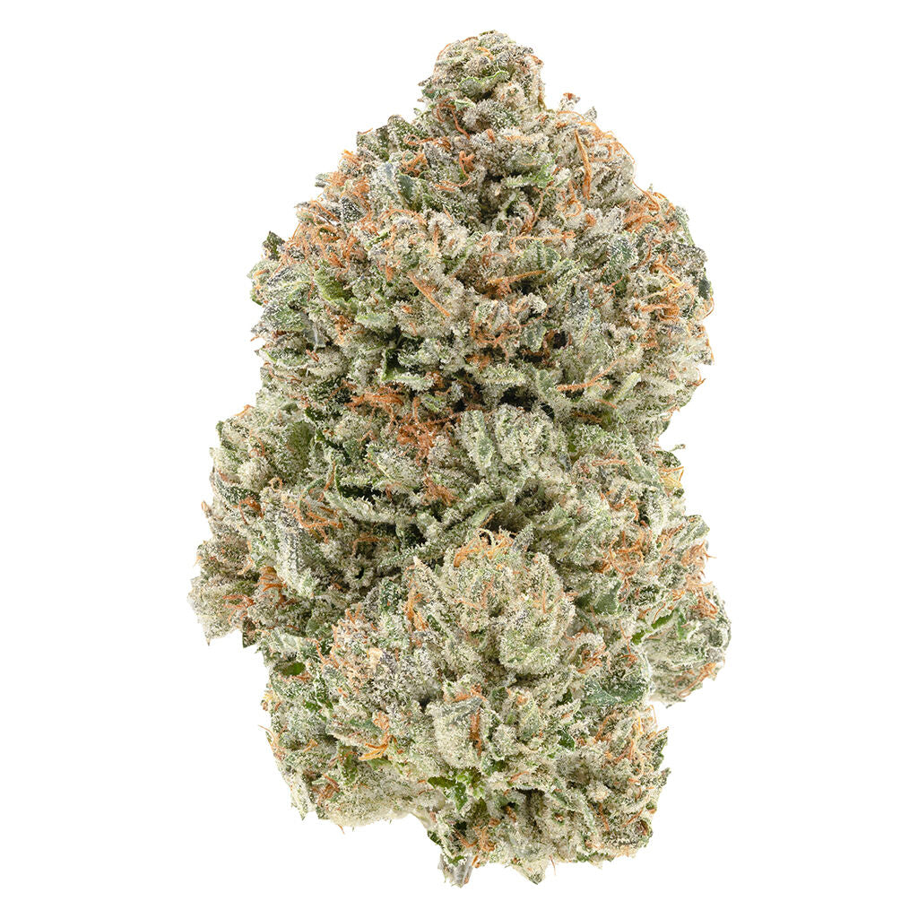 1964 STINKY PINKY (IND) DRIED - 7G