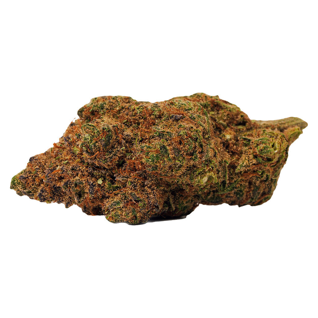 BOLD ORANGE CRUSH (S) DRIED - 3.5G