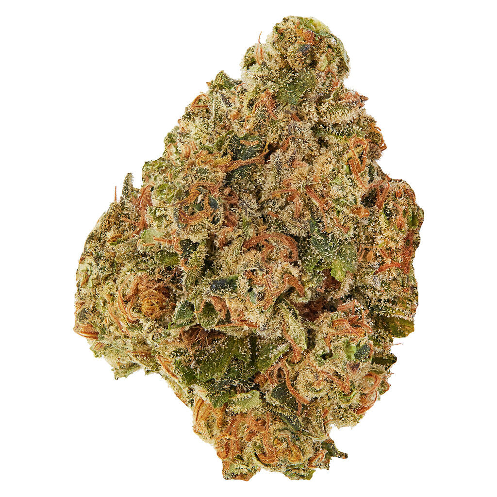 GOOD SUPPLY PUMPKIN SPICE (H) DRIED - 7G