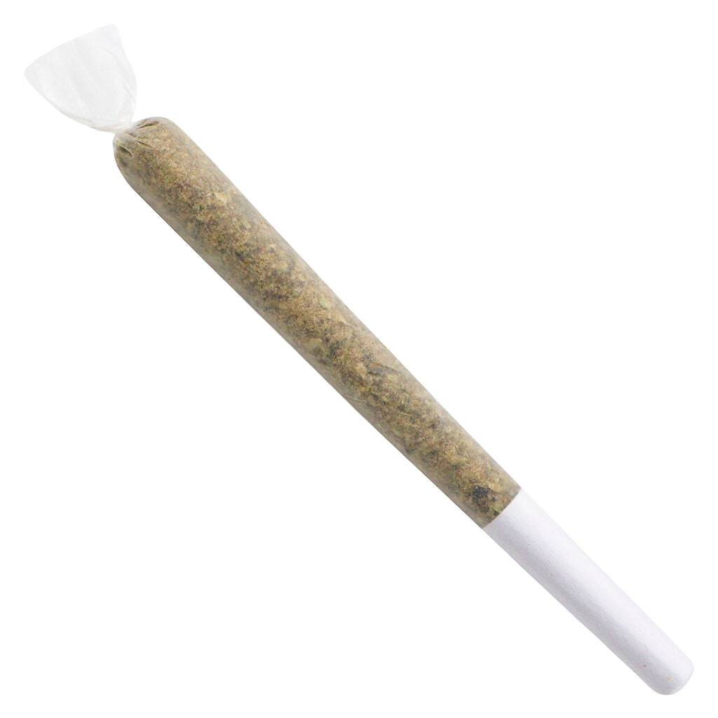 POPCORN INDICA (IND) PRE-ROLL - 0.5G X 28