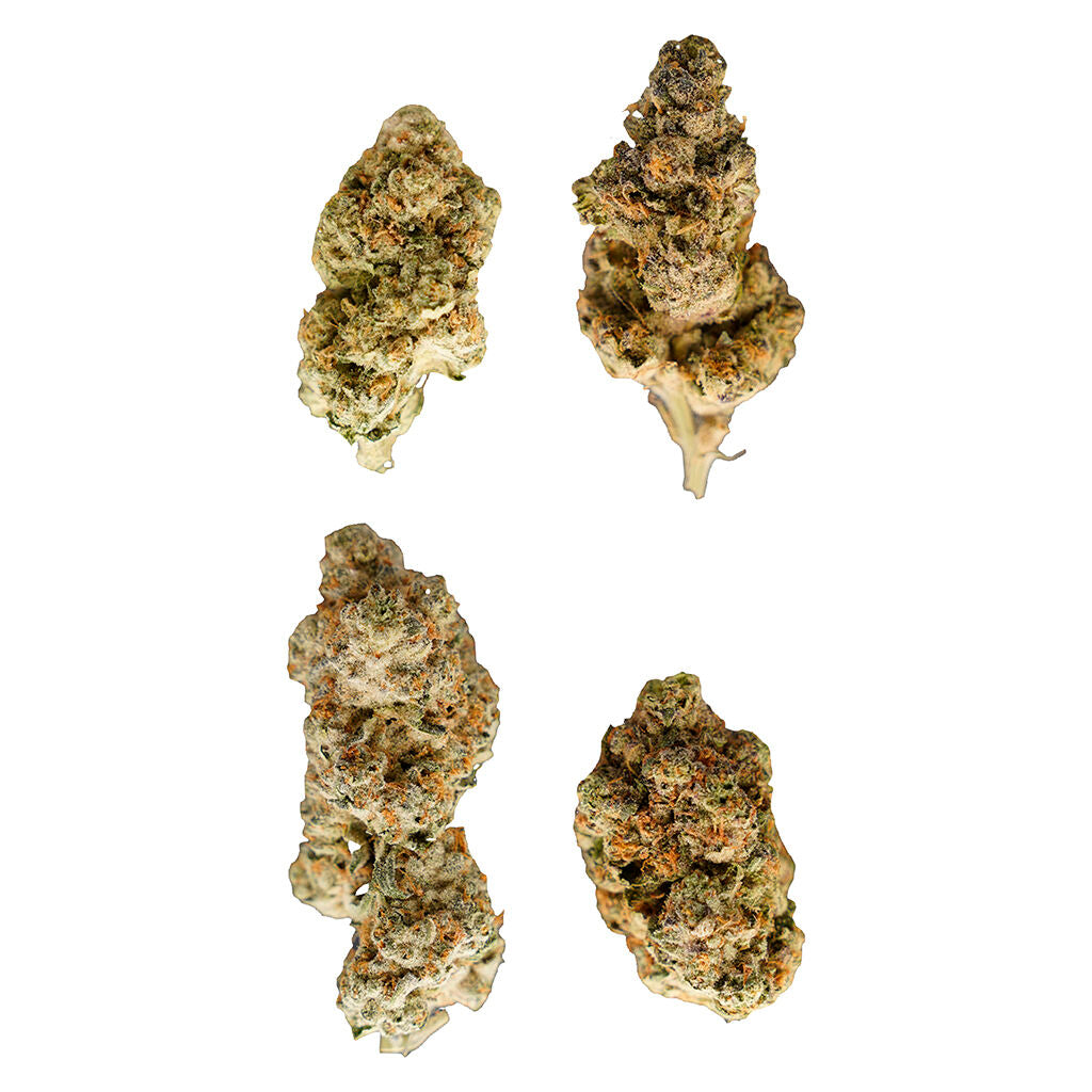 DNU TERP NERDZ BAG OF NERDZ (H) 0.5G X 5
