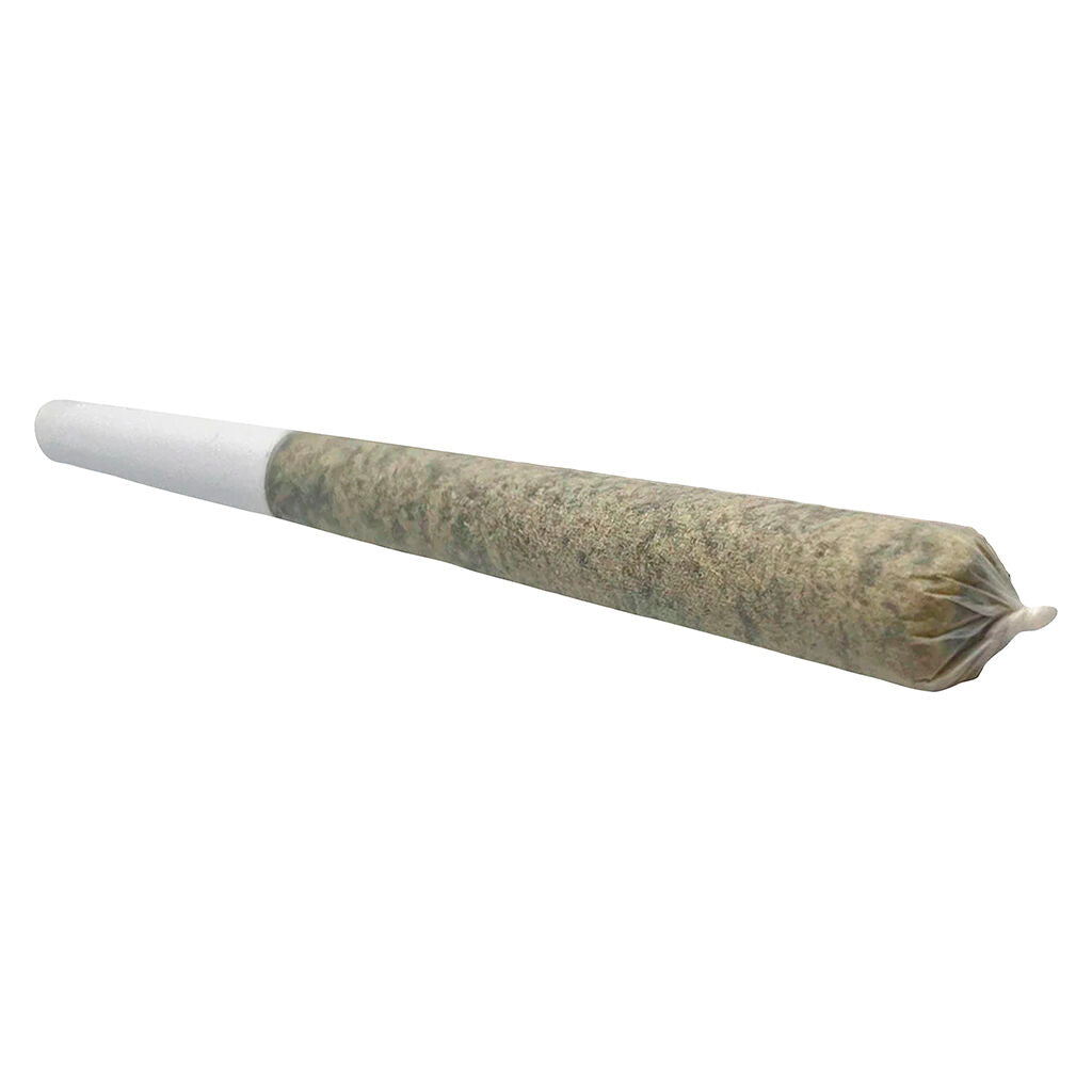 SHEEESH DIA DE LOS MUERTOS (IND) PRE-ROLL - 1G X 1