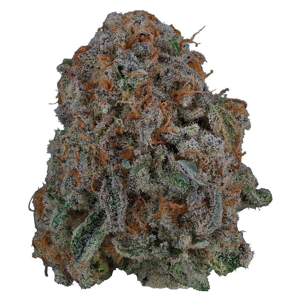 VOLO NUGSZILLA (IND) DRIED - 7G