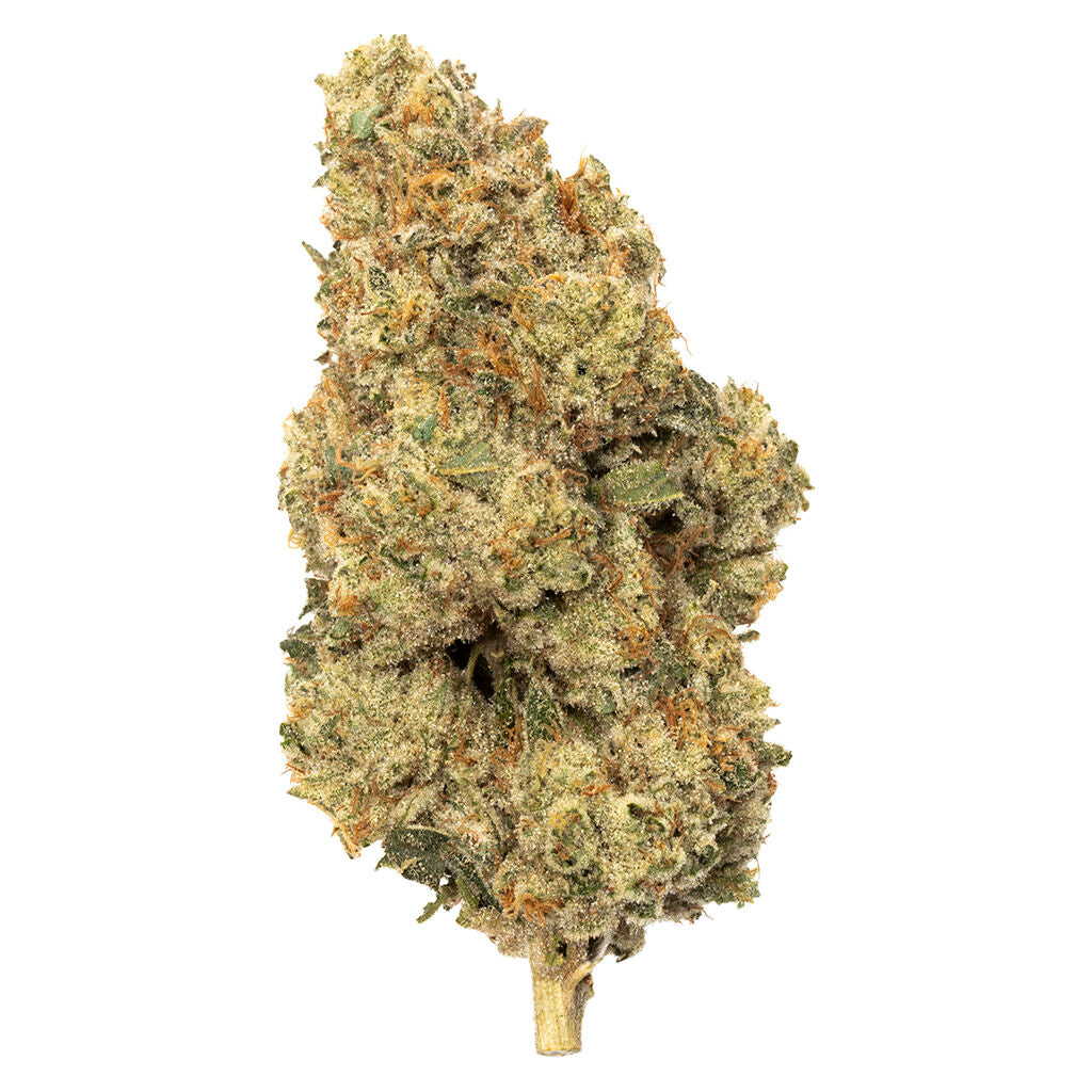 ODDBALL EXOTICS (H) DRIED - 7G