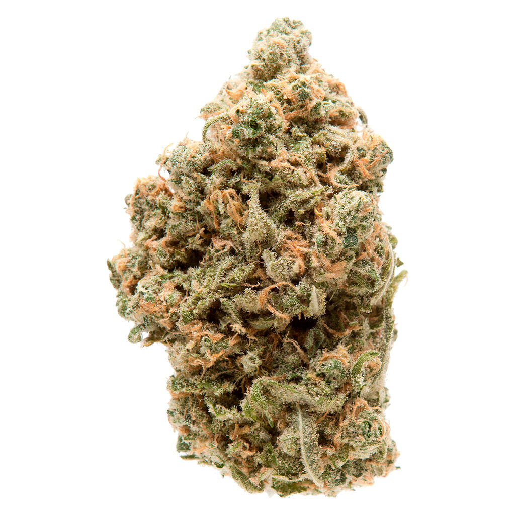 KHUSHI GALUB JAMUN (IND) DRIED - 7G