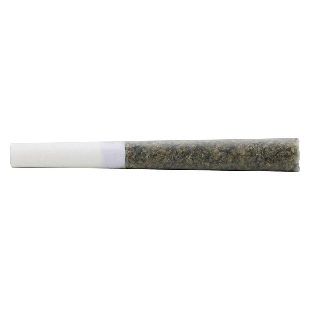 PURE LAINE SMOOTHIES SATIVA CARBON TIP (S) PRE-ROLL - 0.5GX5