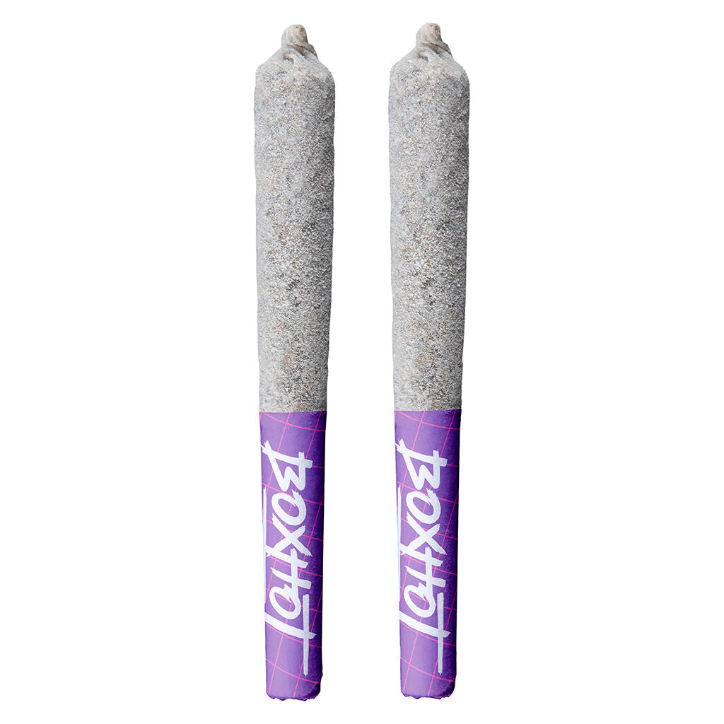 BOXHOT DIAMOND DOOBIES TANGERINE SCR (S) INF PRE-ROLL 0.5GX2