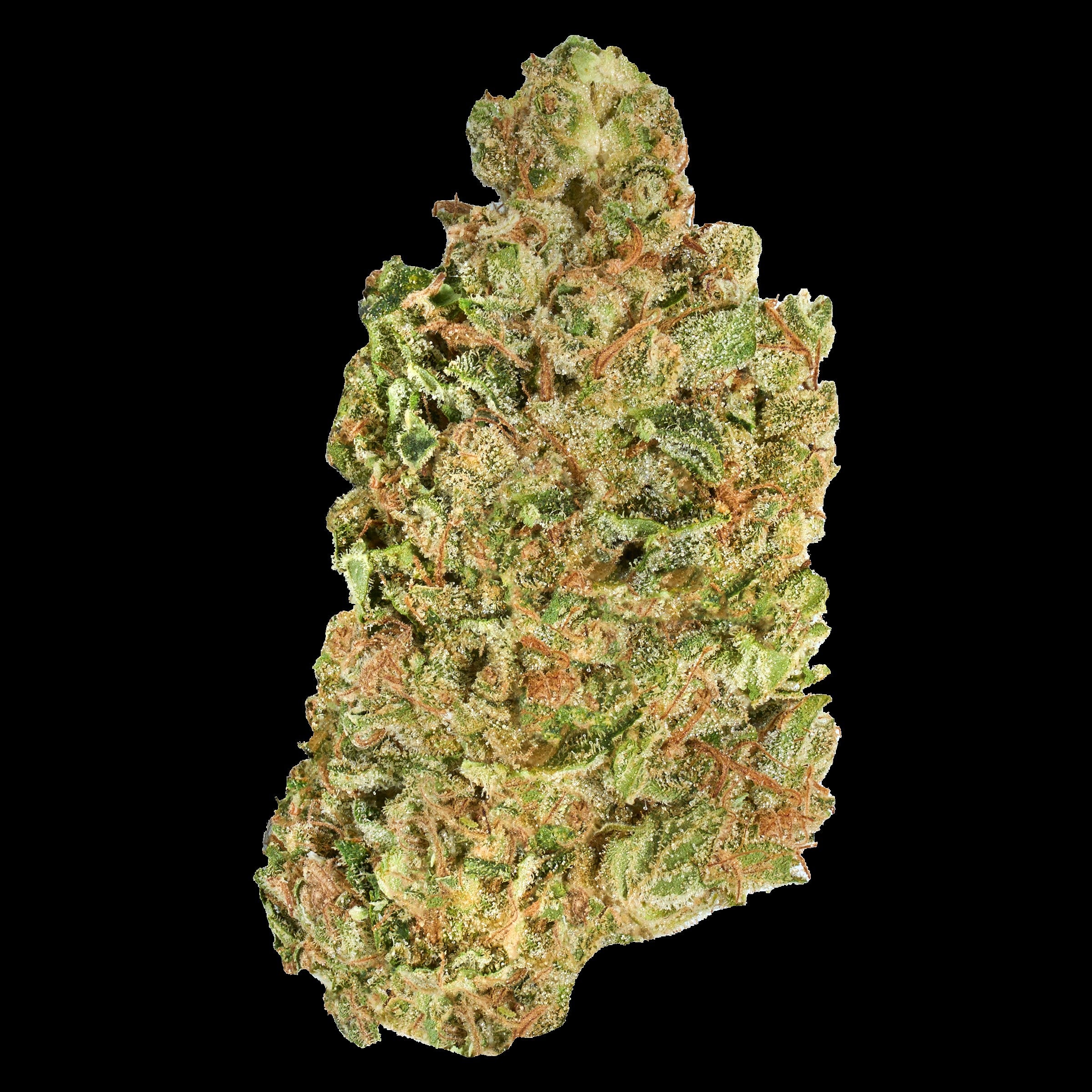 GOOD SUPPLY GHOST GELATO (IND) DRIED - 7G