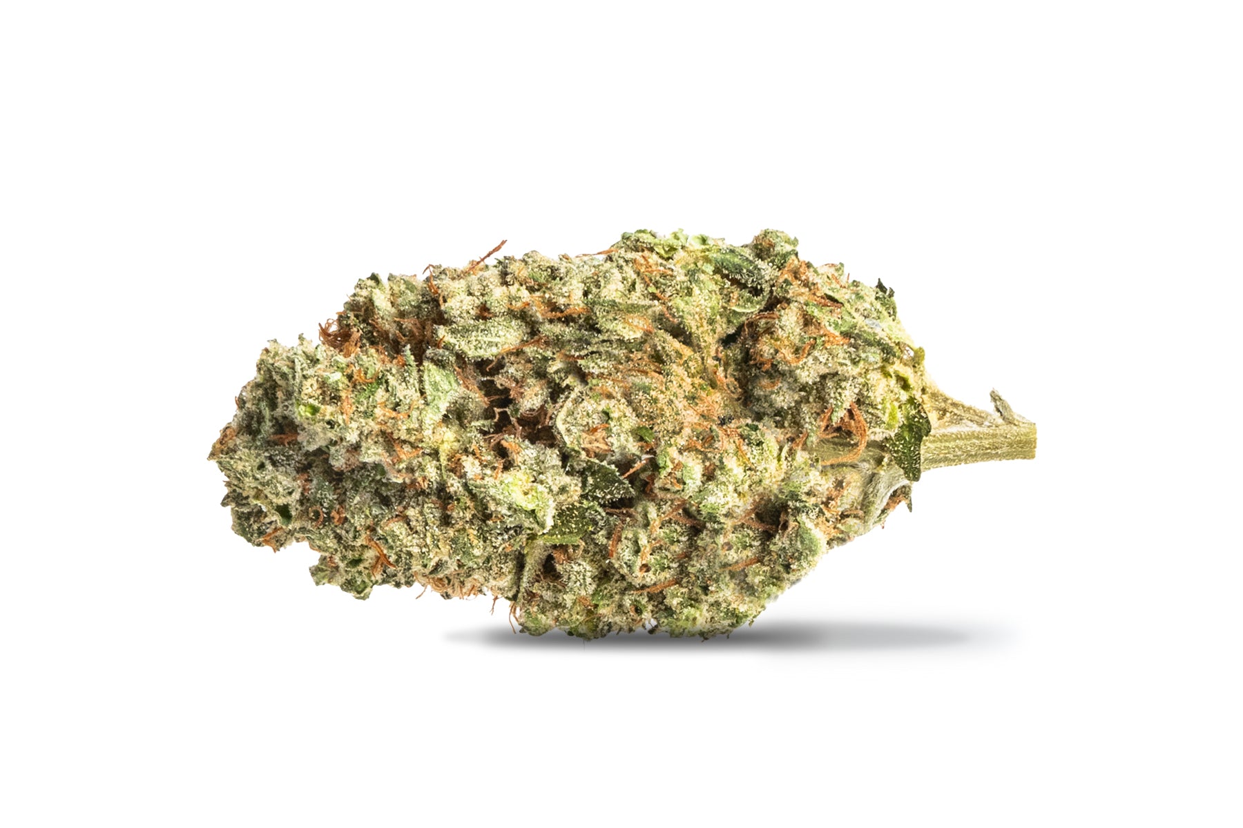 FRASER VALLEY BLACK SHERB (IND) DRIED - 14G