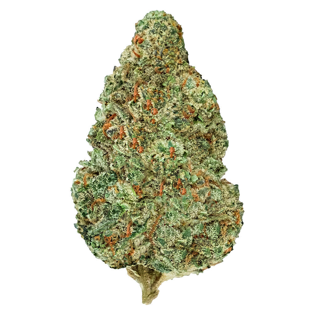 BACK FORTY CHEMZILLA (IND) DRIED - 14G