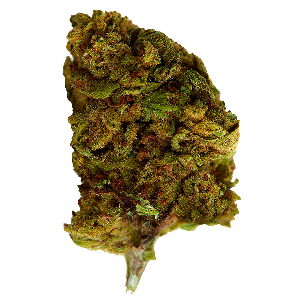 Value Buds - VERSUS BUBBA KUSH (IND) DRIED - 28G - Versus