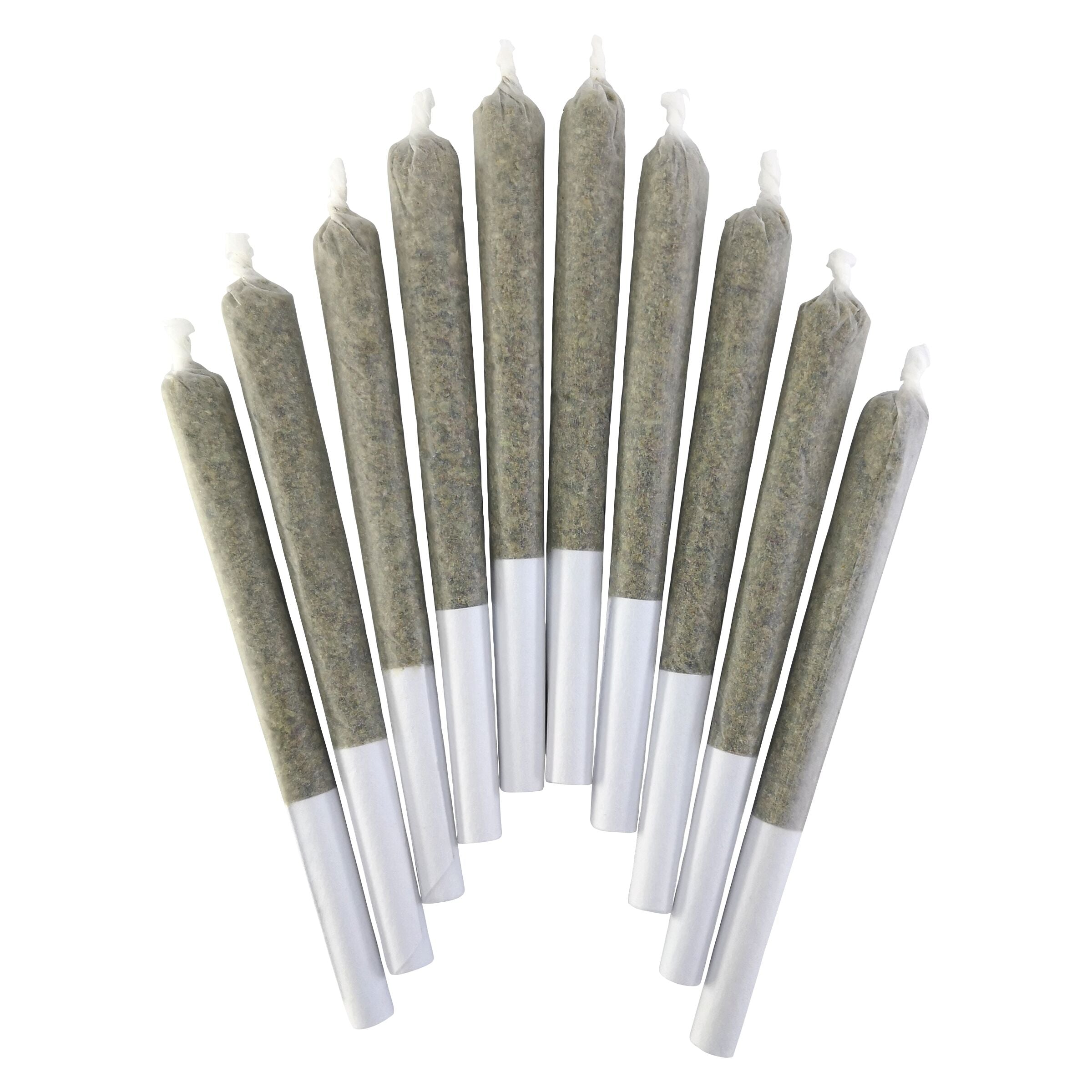 BC DOOBIES JEAN CLOUDS VAN DAMME (IND) PRE-ROLL - 0.5G X 10
