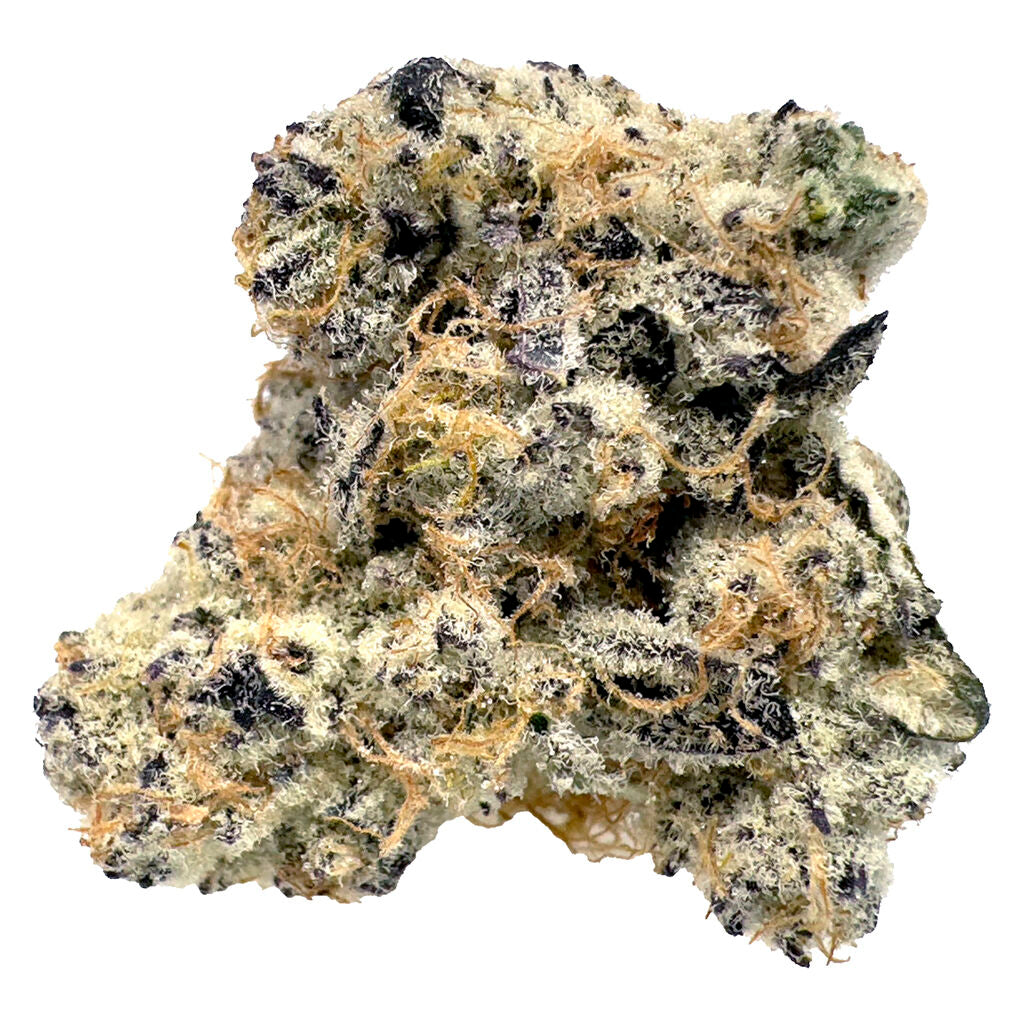 BLK MKT HIGH SOCIETY (H) DRIED - 7G