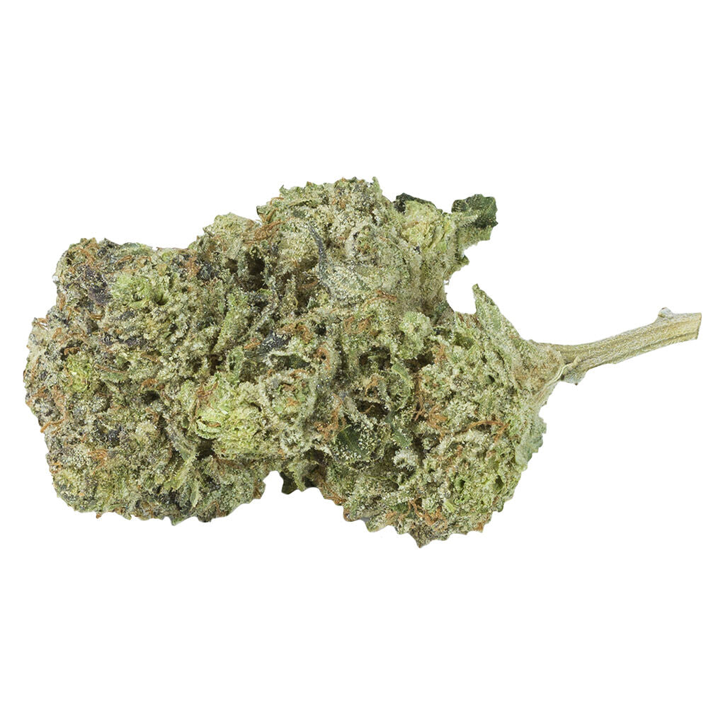 DAKU GELATO #4 (S) DRIED - 3.5G