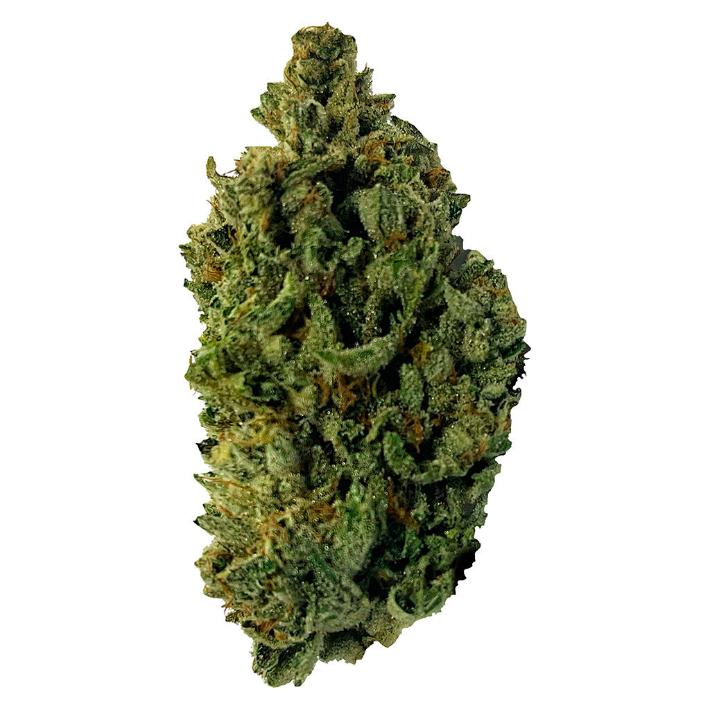 MINISTRY OF SATIVA DURBAN DIESEL (S) DRIED - 7G