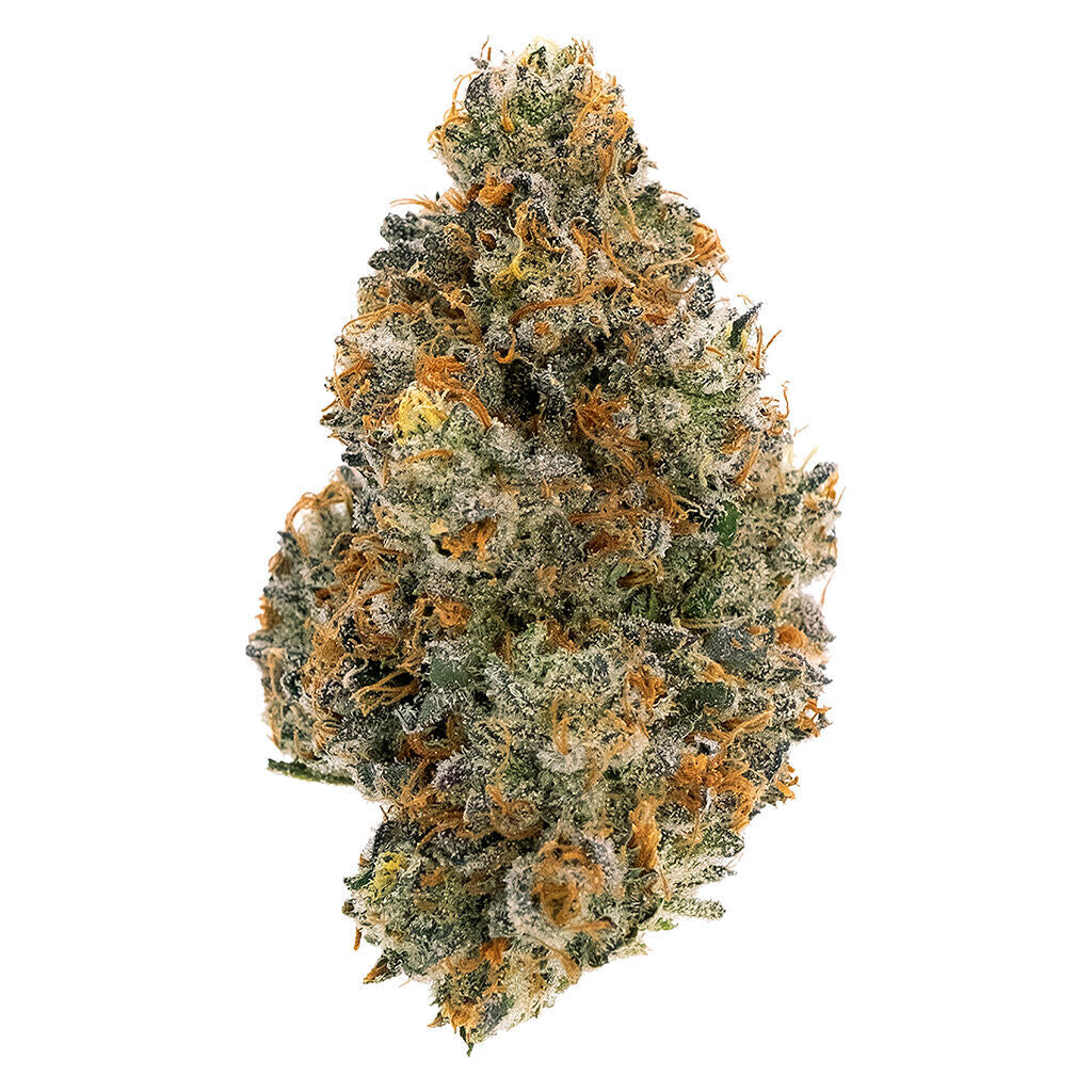 NORTHERN CANNA FROSTED TIGER NUTS (IND) DRIED - 7G