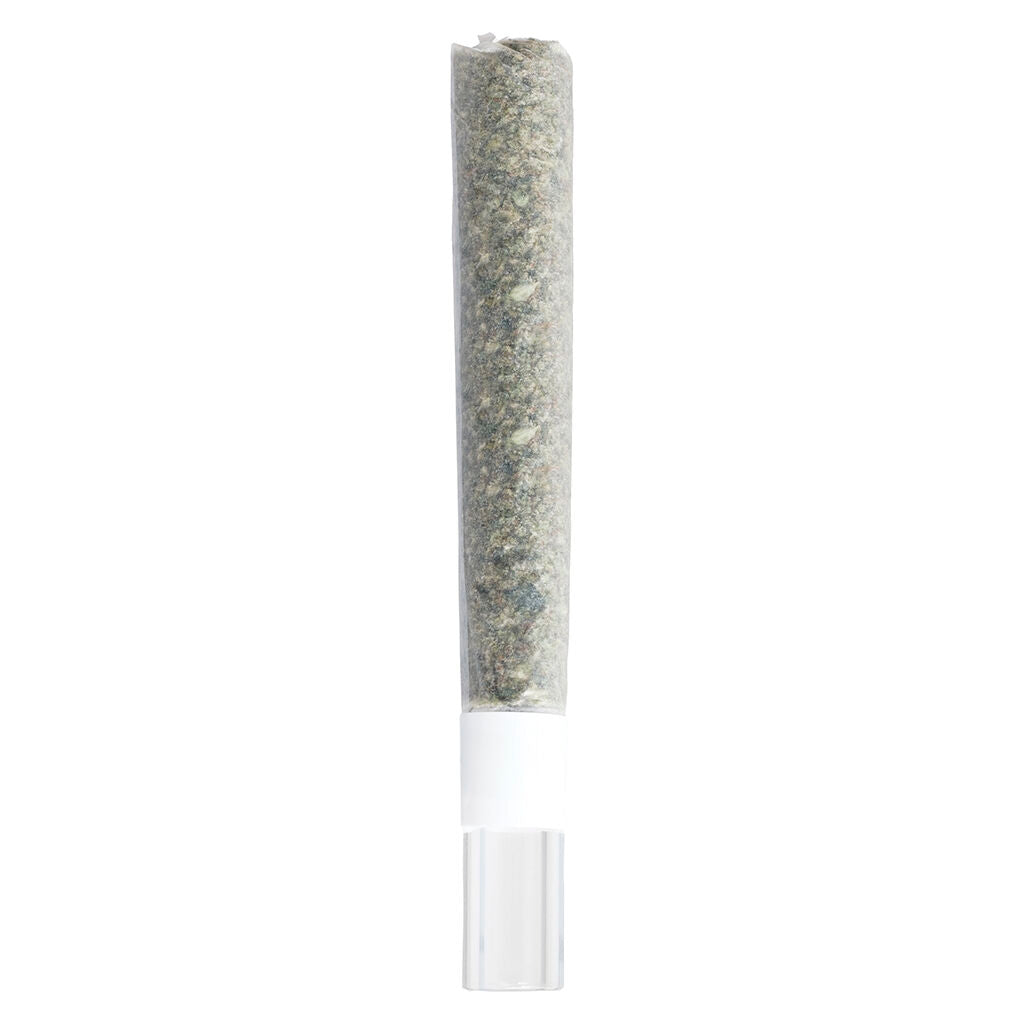 3RD COAST GENETICS PURE MICHIGAN GLASS T (IND) PRE-ROLL 1GX1