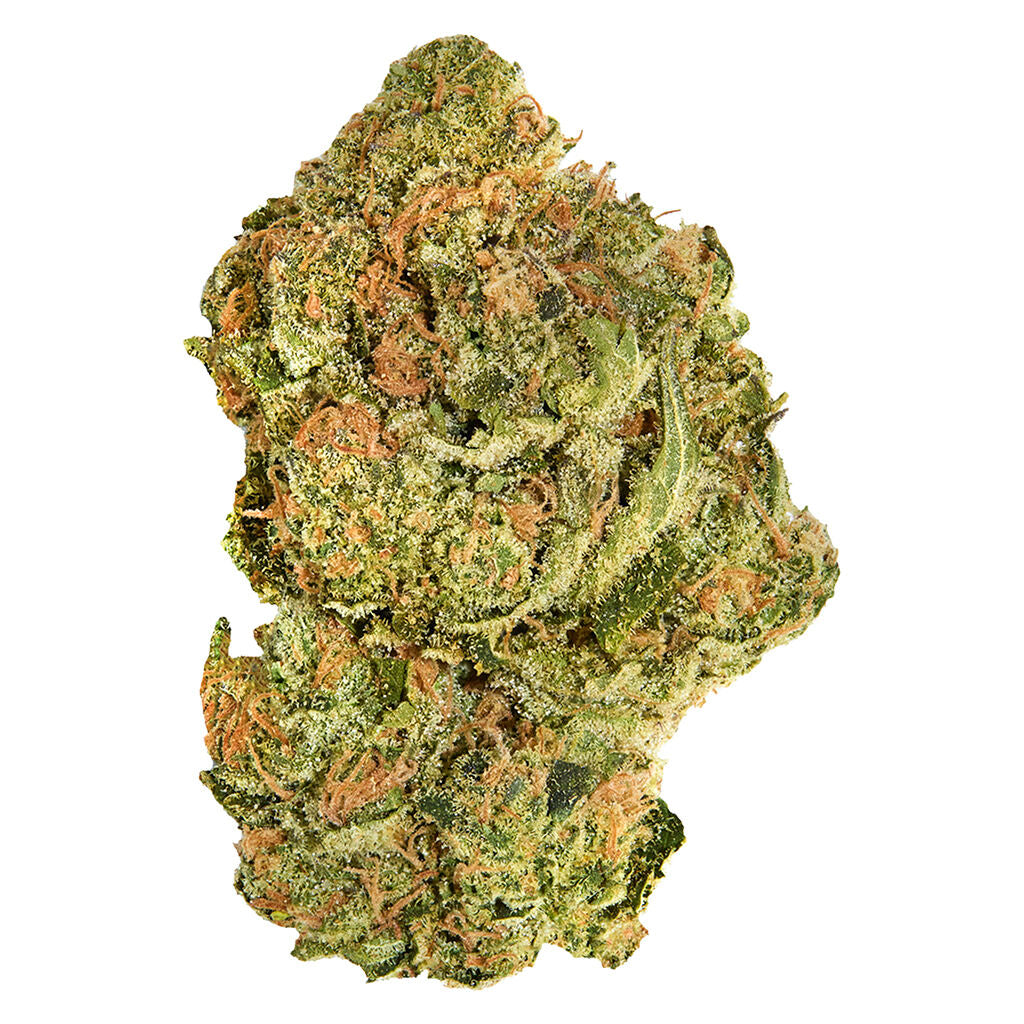 GOOD SUPPLY BRAND NEW BUDS (H) DRIED - 28G