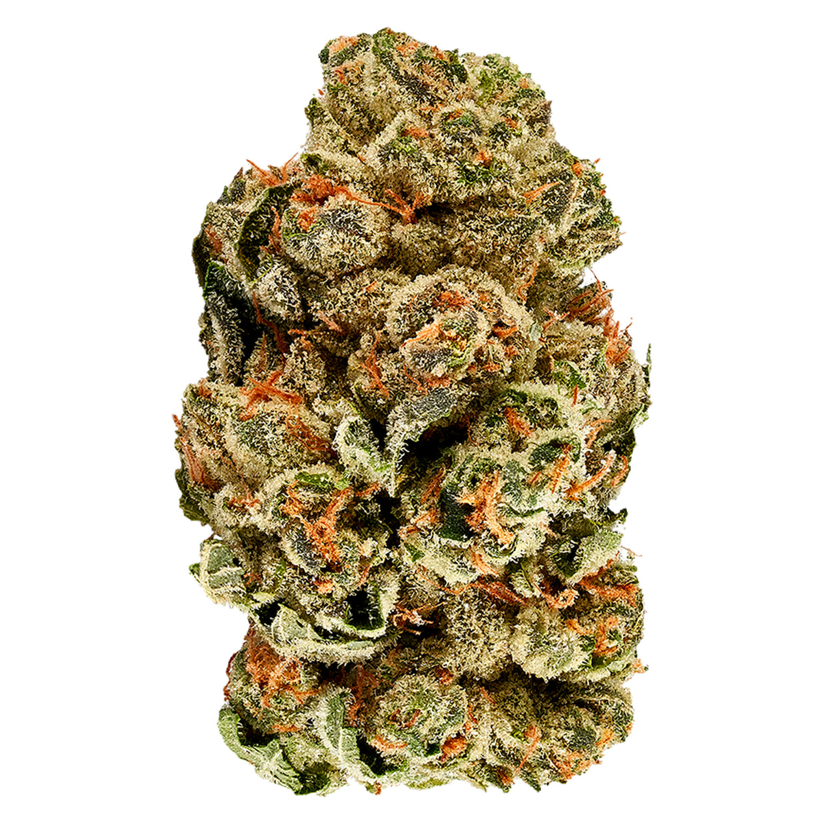 3SAINTS KUSH COOKIES (IND) DRIED - 14G