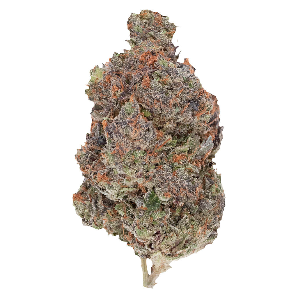 PISTOL AND PARIS DIABLO (IND) DRIED - 3.5G