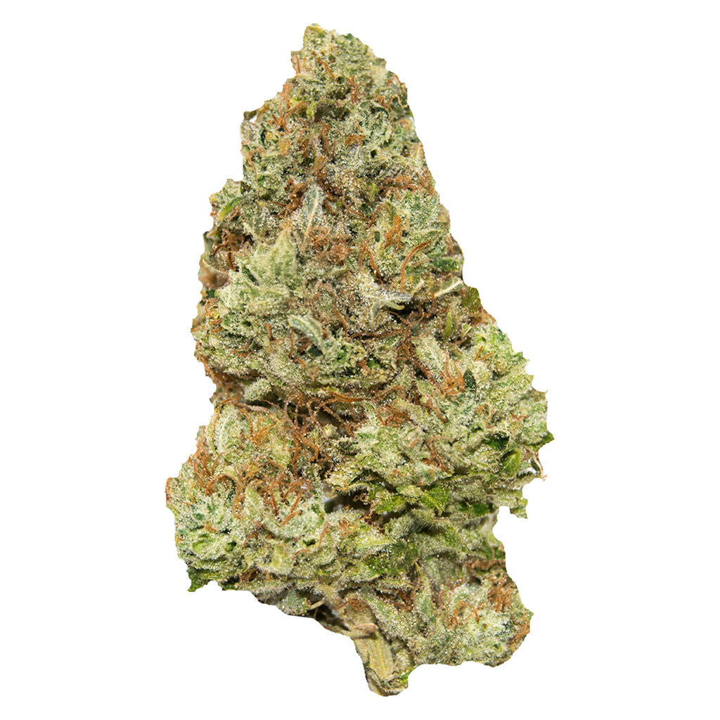 CONTRABAND GOLDEN TANGIE (S) DRIED - 7G
