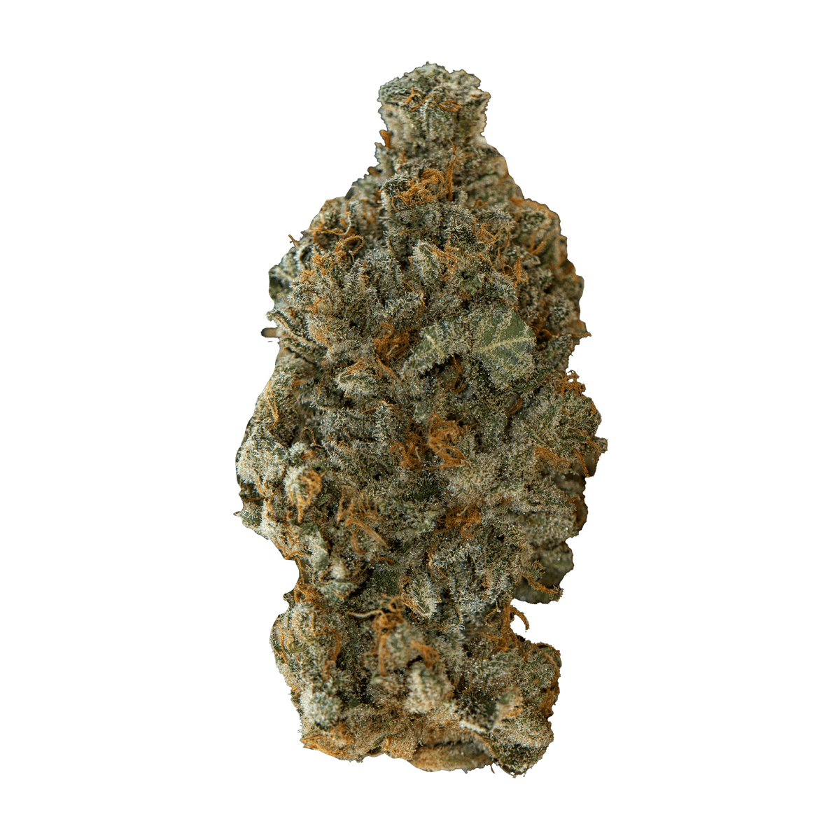 VERSUS GIRL SCOUT COOKIES (IND) DRIED - 28G