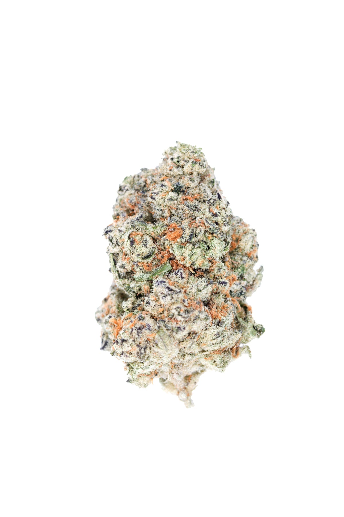 QWEST WHITE WALKER #2 (S) DRIED - 7G