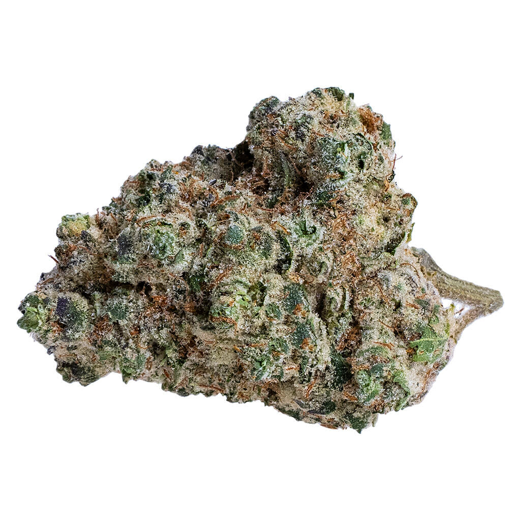 SOAR BRAIN CAKE (S) DRIED - 7G