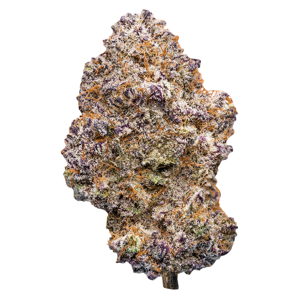 PISTOL AND PARIS GAS PACK (IND) DRIED - 7G