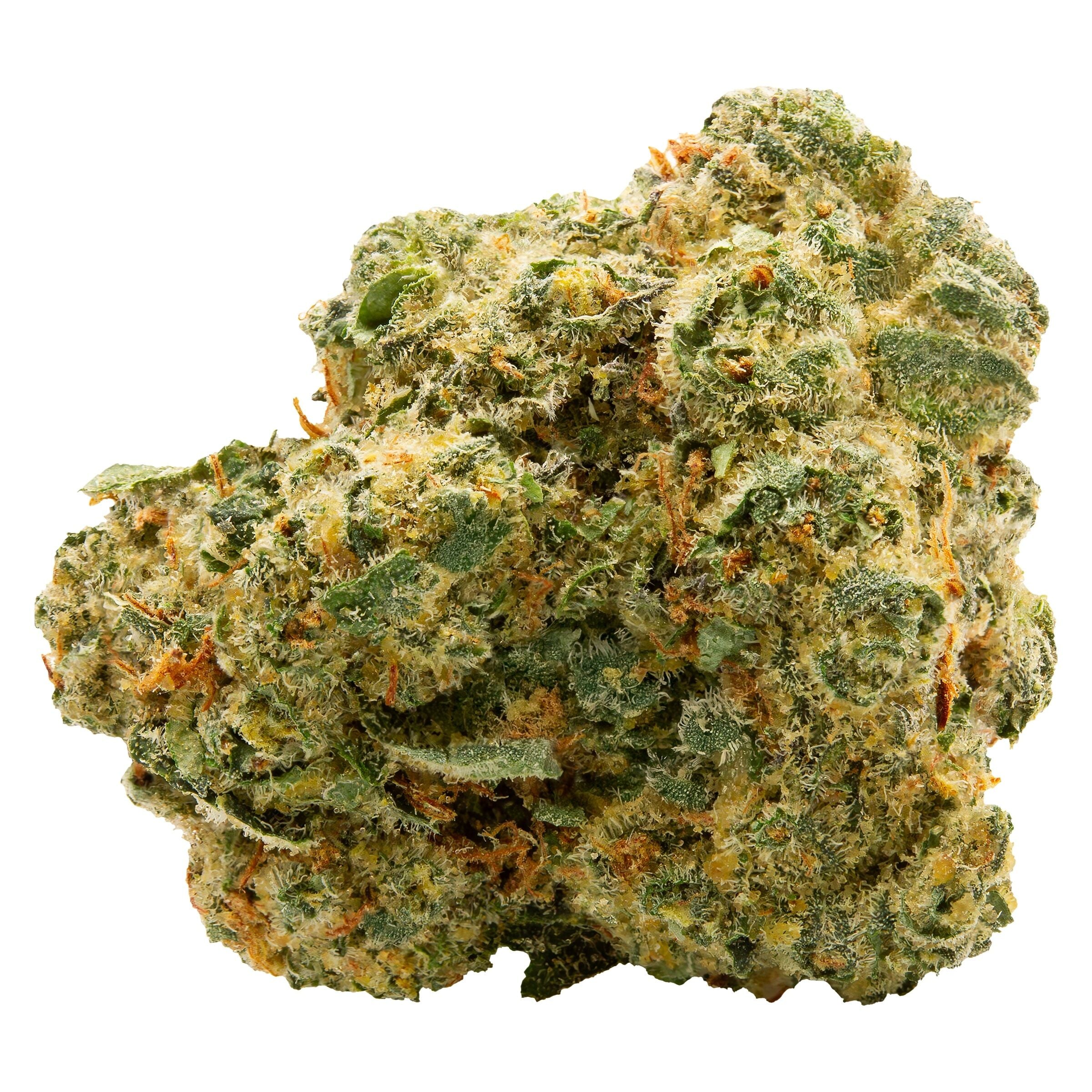 SPINACH BLUE THAI (S) DRIED - 7G