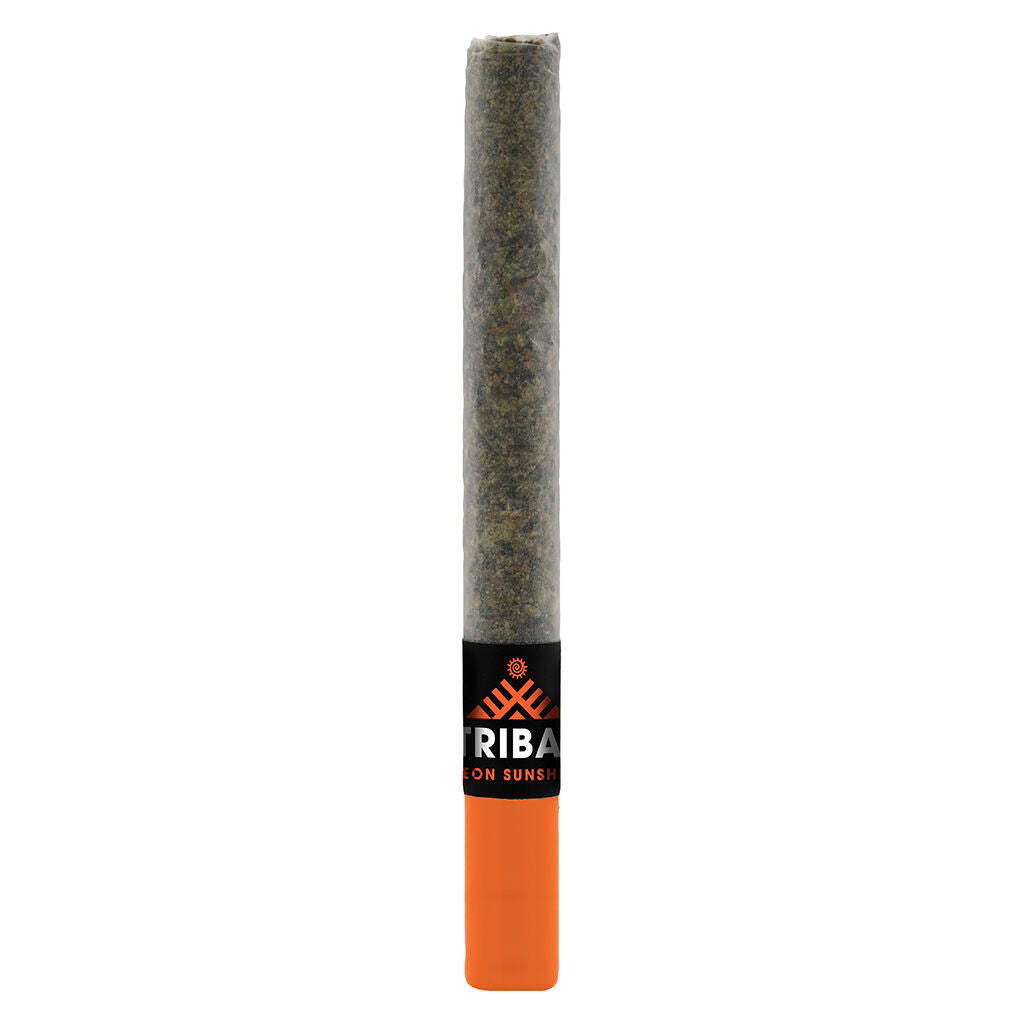 TRIBAL NEON SUNSHINE CERAMIC TIP (H) PRE-ROLL 1G X 1