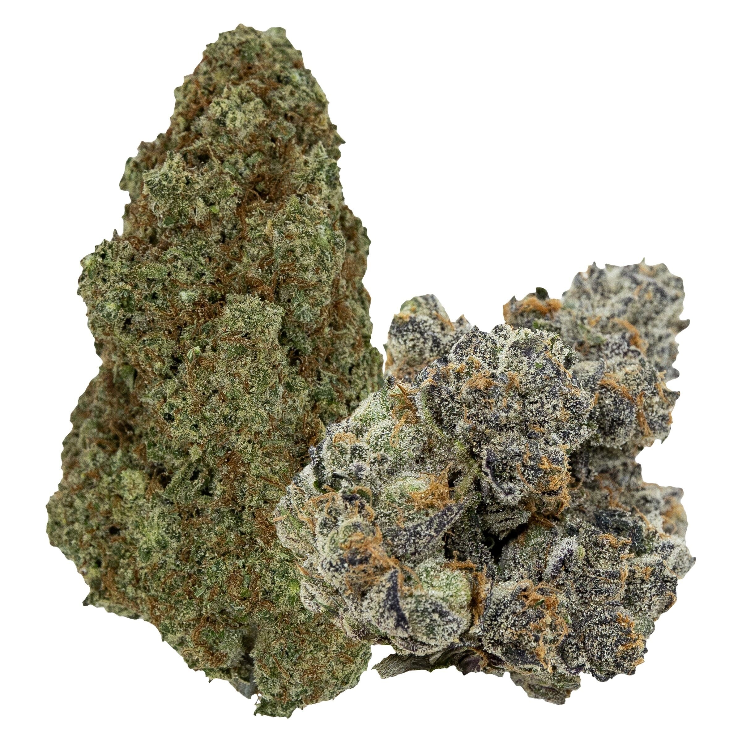 PISTOL AND PARIS FLAVOURS ROTATING (IND) DRIED - 14G