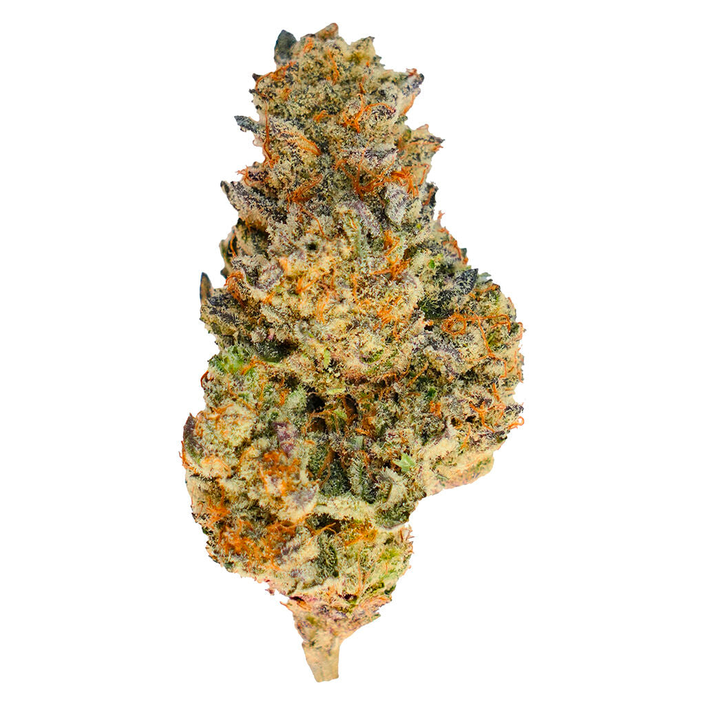 HAPPY HOUR DONNY BURGER (IND) PRE-ROLL 0.5G X 10
