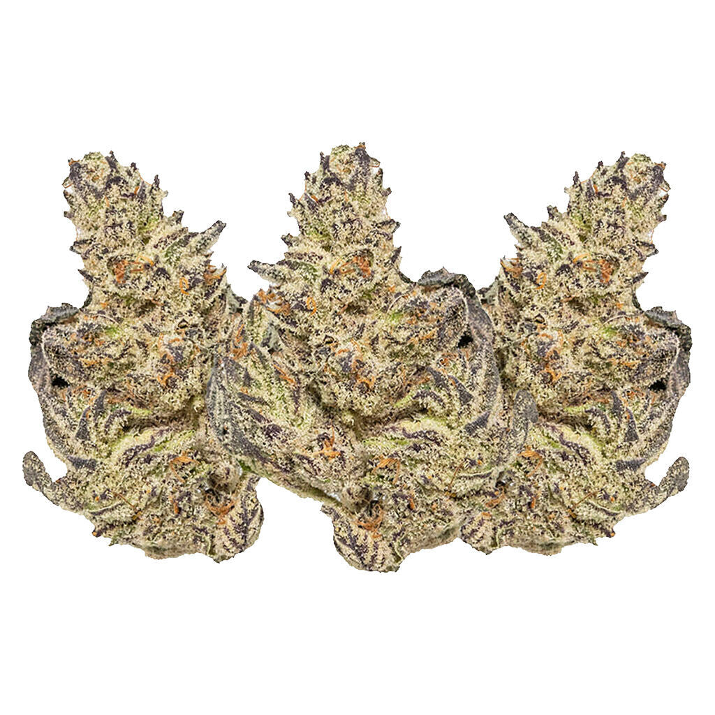 HAPPY HOUR WHITE TRUFFLE (H) DRIED - 7G